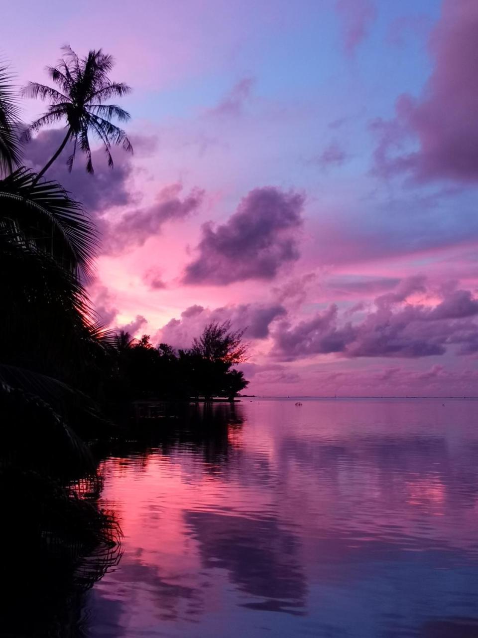 Lagoon Dream โมโอเรอา ภายนอก รูปภาพ